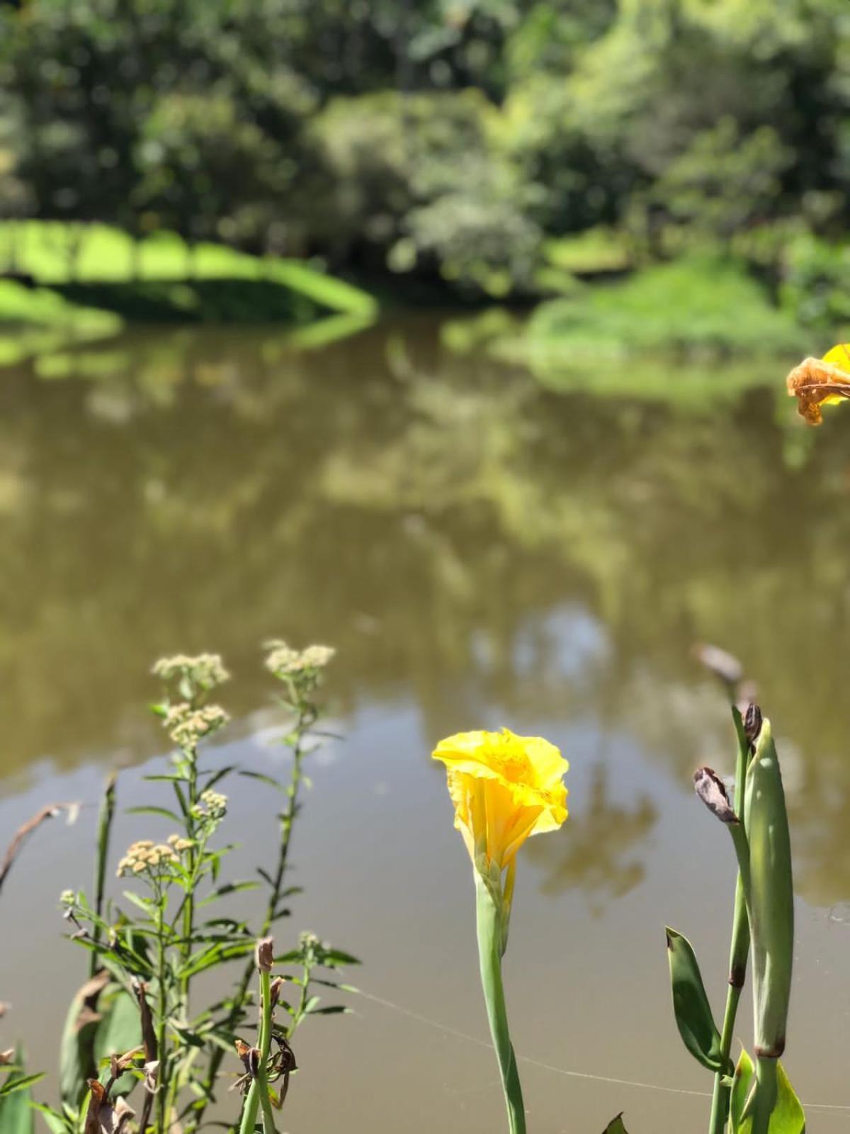 Canto De Roca Turismo E Lazer Mimoso do Sul Exterior foto